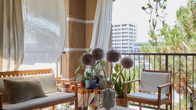Protect Your Family from Harmful UV Rays with This Affordable Shade