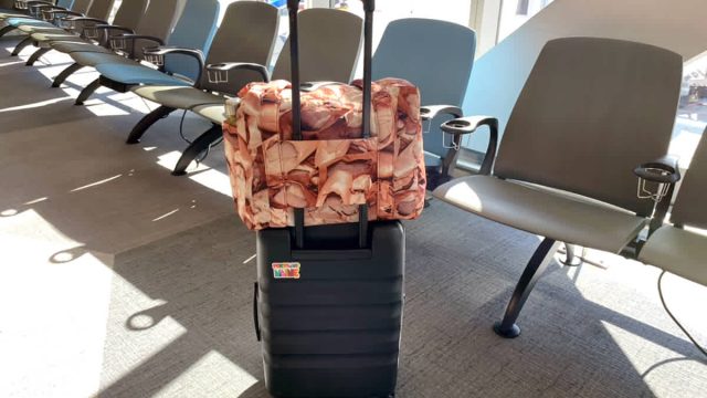 Discover the Must-Have Carry-On Bag That Everyone Is Raving About