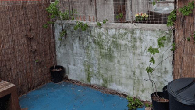 Transform Your Outdoor Space: Innovative Solutions for Safe Patios