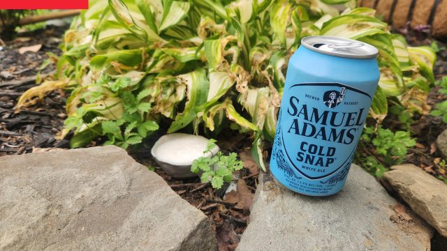 Innovative Ways to Deter Garden Pests: Beer as a Slug Solution