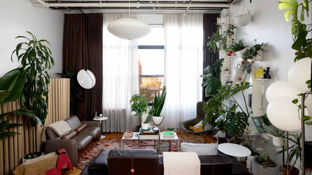 The Rise of Affordable DIY Home Decor: Why Simplicity Matters Now