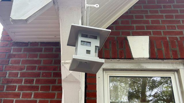 Transform Your Backyard into a Bird Paradise with This New Feeder
