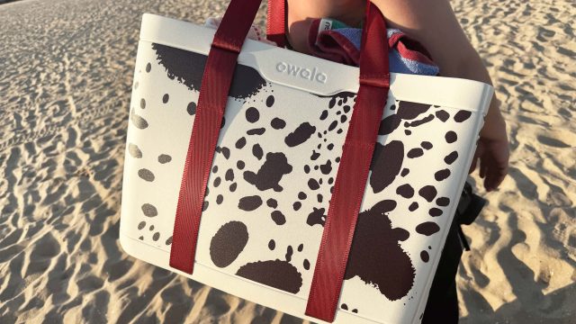 Discover the Ultimate Collapsible Tote for Beach Lovers