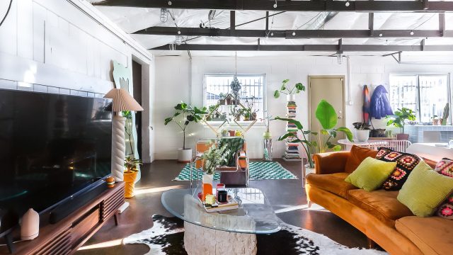 Why Animal-Shaped Rugs Are Bec