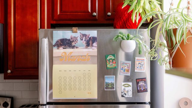 Innovative Storage Solutions: Creative Uses for Dollar Tree Products