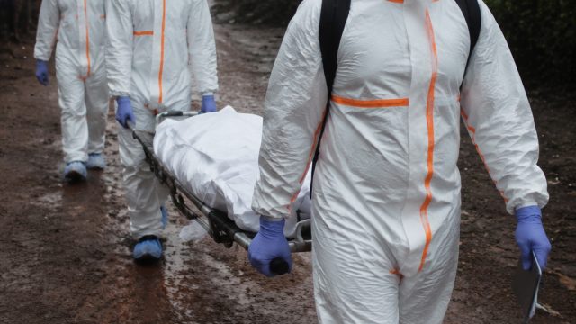 Surge in Ebola Cases in Congo Raises Global Health Concerns | lion777 slot, mimpi memetik buah nangk