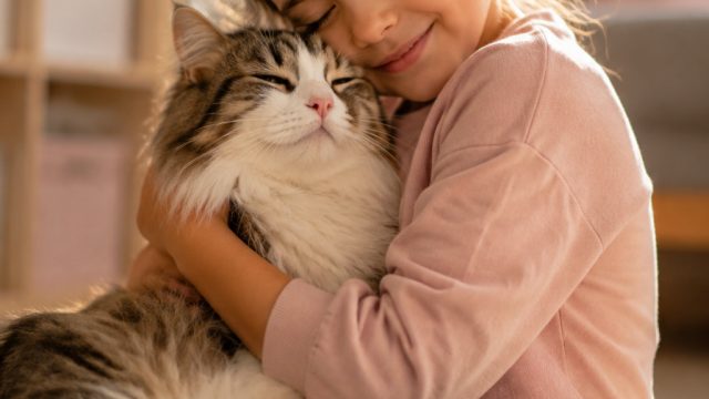 Discover the Healing Power of Cats: A Purrfect Therapy | mega188, game slot terbaik hari ini, dunia7